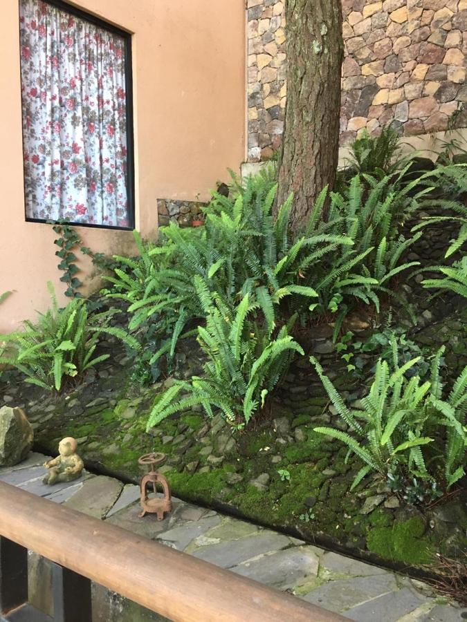 Mi Casa De Valle Valle de Bravo Dış mekan fotoğraf