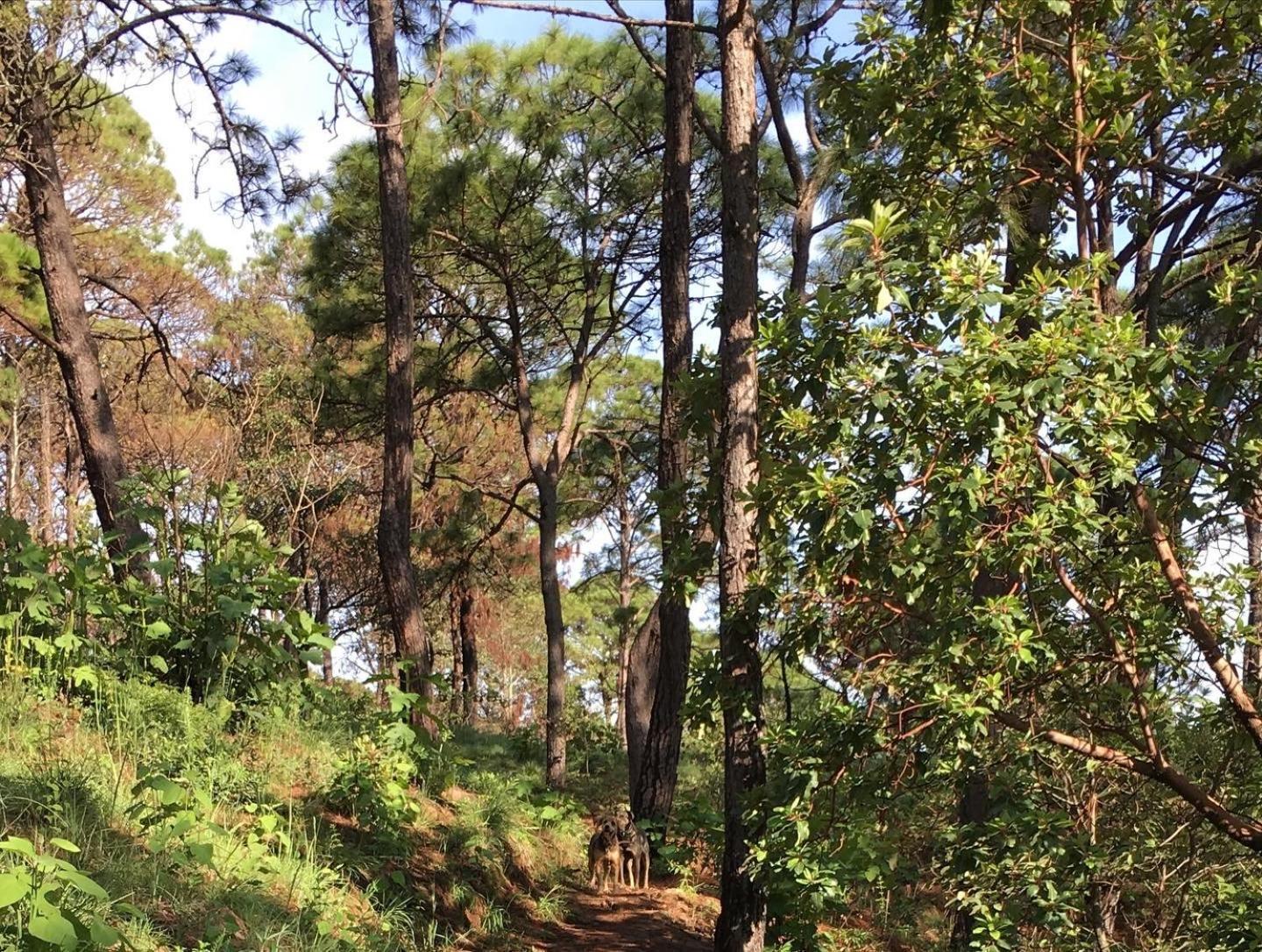 Mi Casa De Valle Valle de Bravo Dış mekan fotoğraf