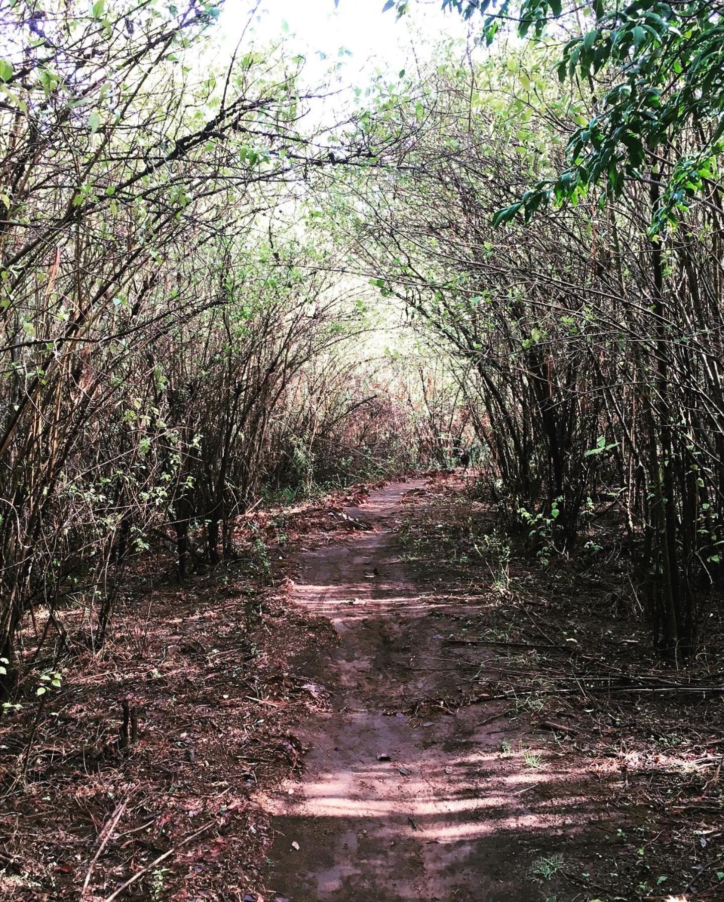 Mi Casa De Valle Valle de Bravo Dış mekan fotoğraf